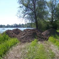 Création d'épis à la gravière Epple AAPPMA Seltz