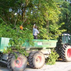 Débroussaillage des abords du chemin de la gravière Epplé AAPPMA Seltz
