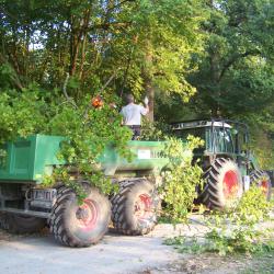 Débroussaillage des abords du chemin de la gravière Epplé AAPPMA Seltz