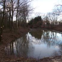 Le Kleinrhein après les travaux de restauration AAPPMA Seltz