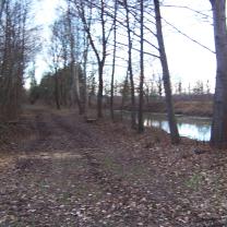 Le Kleinrhein après les travaux de restauration AAPPMA Seltz