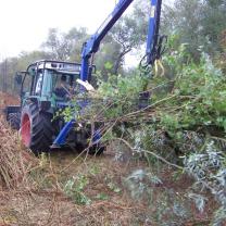 Le Kleinrhein pendant les travaux de restauration AAPPMA Seltz
