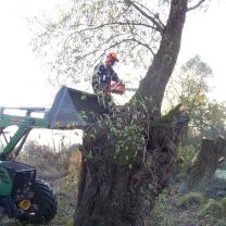 Le Kleinrhein pendant les travaux de restauration AAPPMA Seltz