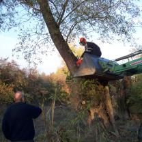 Le Kleinrhein pendant les travaux de restauration AAPPMA Seltz