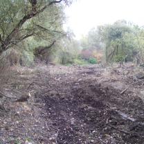 Le Kleinrhein pendant les travaux de restauration AAPPMA Seltz