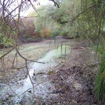 Le Kleinrhein pendant les travaux de restauration AAPPMA Seltz