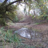 Le Kleinrhein pendant les travaux de restauration AAPPMA Seltz