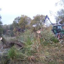 Le Kleinrhein pendant les travaux de restauration AAPPMA Seltz