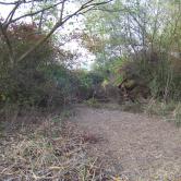 Quelques clichés du Kleinrhein avant sa restauration AAPPMA Seltz