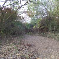 Quelques clichés du Kleinrhein avant sa restauration AAPPMA Seltz