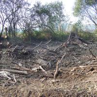 Quelques clichés du Kleinrhein avant sa restauration AAPPMA Seltz