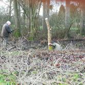 Nettoyage du Schliessengraben AAPPMA Seltz